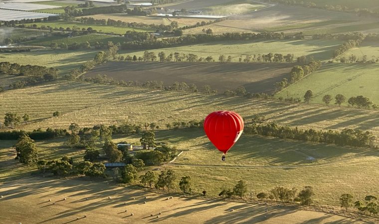 Global-Ballooning-Yarra-Valley-Hot-Air-Ballooning-22