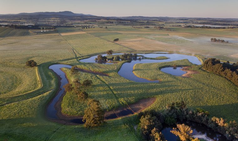 Billabongs along The Yarra River, near Yarra Glen