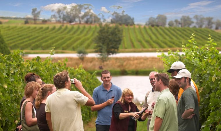 Australian Wine Tours in Victoria's Yarra Valley