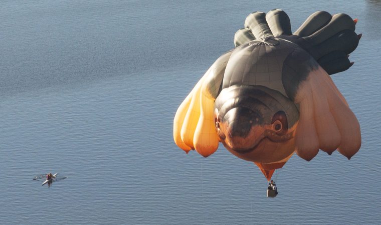 20130511: Saturday 11 March 2013. Centenary of Canberra: Commissioned artwork "Sky Whale" by Patricia Piccinini takes its maiden flight in Canberra, departing from the National Gallery of Australia this morning. Photo by Sean Davey