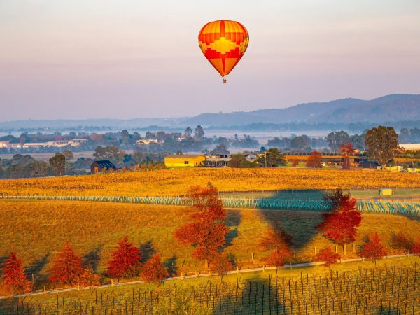 Yarra-Valley-flight-hero-image-SLIM